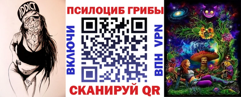 Псилоцибиновые грибы Psilocybe  Весьегонск 